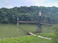 -黄椅山火山森林公园