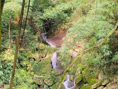-凤栖山