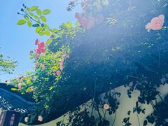 -绮园景区