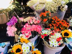 -循礼门鲜花花市(武汉循礼门店)