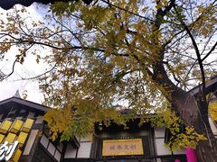 -磁器口古镇