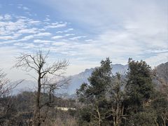 -九华山风景区月身宝殿