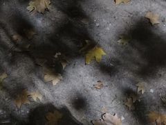 -泰州凤城河风景区-泰山公园