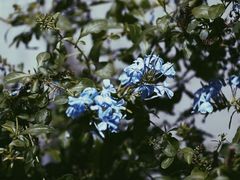 -中国京杭大运河博物馆