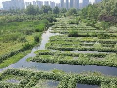 -洋湖国家湿地公园
