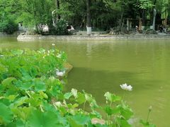 -西安市长乐公园