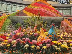 -花之城