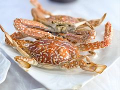 -众味海鲜大排档·活海鲜·潮汕味(南澳店)