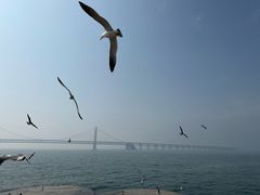 -星海广场