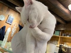 -新月集庭院咖啡馆(老邮局店)