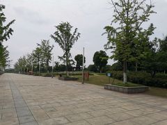 -九里河湿地公园