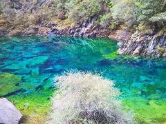 -叠溪松坪沟景区