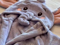 -济南喜来登酒店