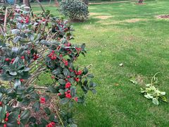 -中共上海市委党校 上海行政学院