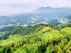 -紫鹊界梯田景区