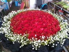 -万卉源鲜花店(百尚生活广场店)