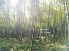-广州市石门国家森林公园