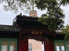 -白塔山公园