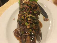 三味石斑-真浪花园海鲜餐馆