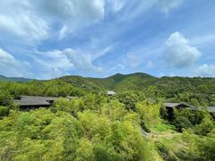 景点-大唐贡茶院