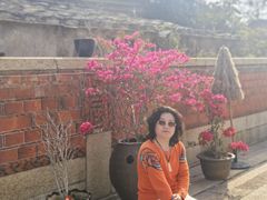 -蔡氏古民居建筑群