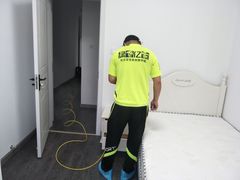 -绿色亿家除甲醛机构