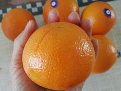 A级-进口甜橙（小）-PAGODA百果园(台柳路凯德广场店)