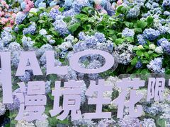 -HALO广场(梨园路店)