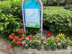 -荔湾区儿童公园