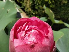 -华中科技大学同济医学院附属同济医院(汉口院区)