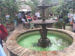 -The Grounds of Alexandria