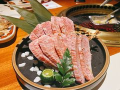 -肉魁屋·烧肉·烧鸟·酒场(高新店)