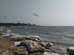 -老虎石海上公园