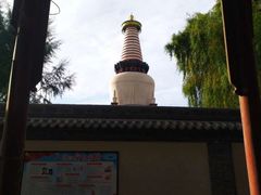 -张掖大佛寺景区