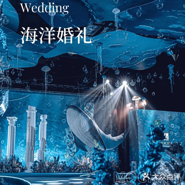 梦幻蓝色海洋风🌊在海底举办了一场婚礼