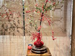 -31号公馆(黄兴广场白果园店)