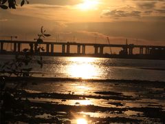 -宝安西湾红树林湿地公园