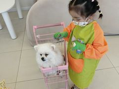 -怪兽屋·羊驼·猫咖·狗咖(俊华广场店)