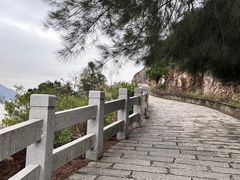 -北岐滩涂