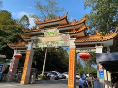 -广州市流溪河国家森林公园
