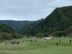 -狮子沟牧场
