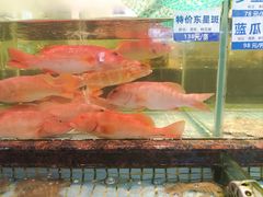 -新海利海鲜城·41年珠海老字号(夏湾店)