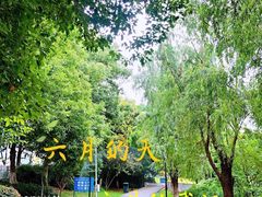-月湖风景区