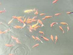 -香积寺