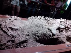 -世界恐龙谷景区