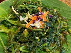 -茉莉.Red Crab