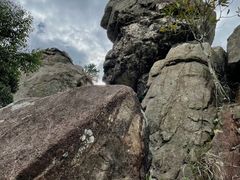 -狮子山郊野公园