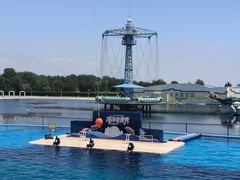 -秦皇岛乐岛海洋王国