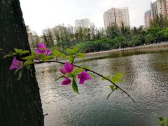 -南屏步行街
