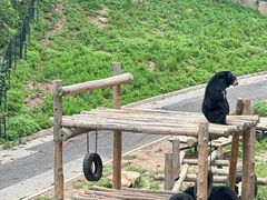 -大连森林动物园